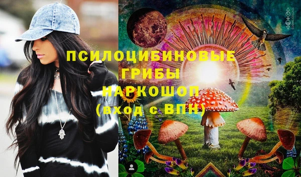 2c-b Абдулино