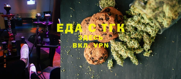 индика Шенкурск