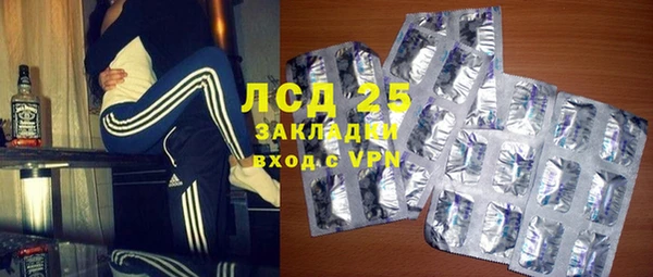 прущие грибы Абинск