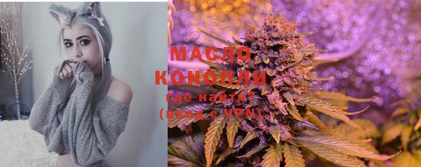 винт Абаза