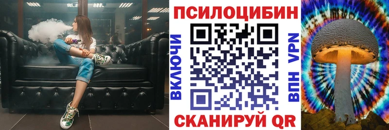 нарко площадка телеграм  Тырныауз  Псилоцибиновые грибы Magic Shrooms 