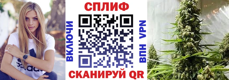 Бошки марихуана VHQ Тырныауз
